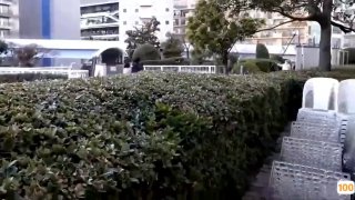 福利一区二区1000集🈲中文字幕亚洲一区🈲高清无码三级片在线